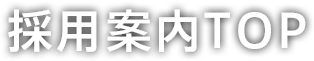 採用案内